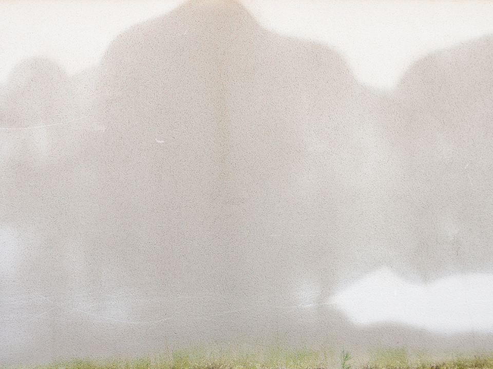 Pintura San Sebastián